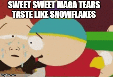 ‘Trying to reinstate invasion!’ MAGA whines as Trump dealt another court loss