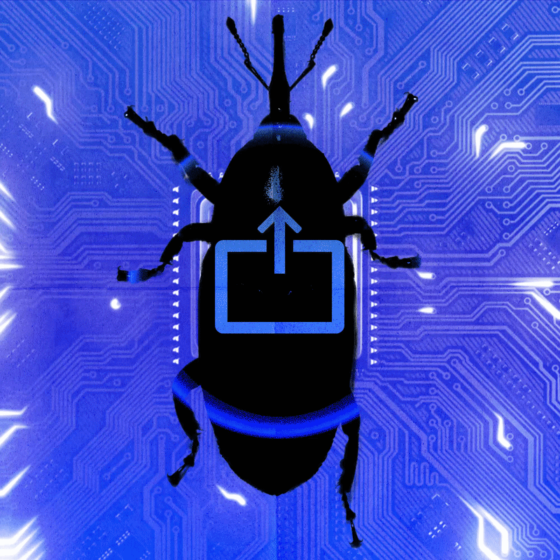 AI: Bad for the climate, bad for your privacy